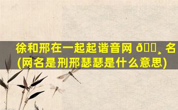 徐和邢在一起起谐音网 🌸 名(网名是刑邢瑟瑟是什么意思)